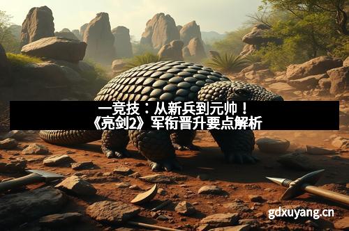 一竞技：从新兵到元帅！《亮剑2》军衔晋升要点解析